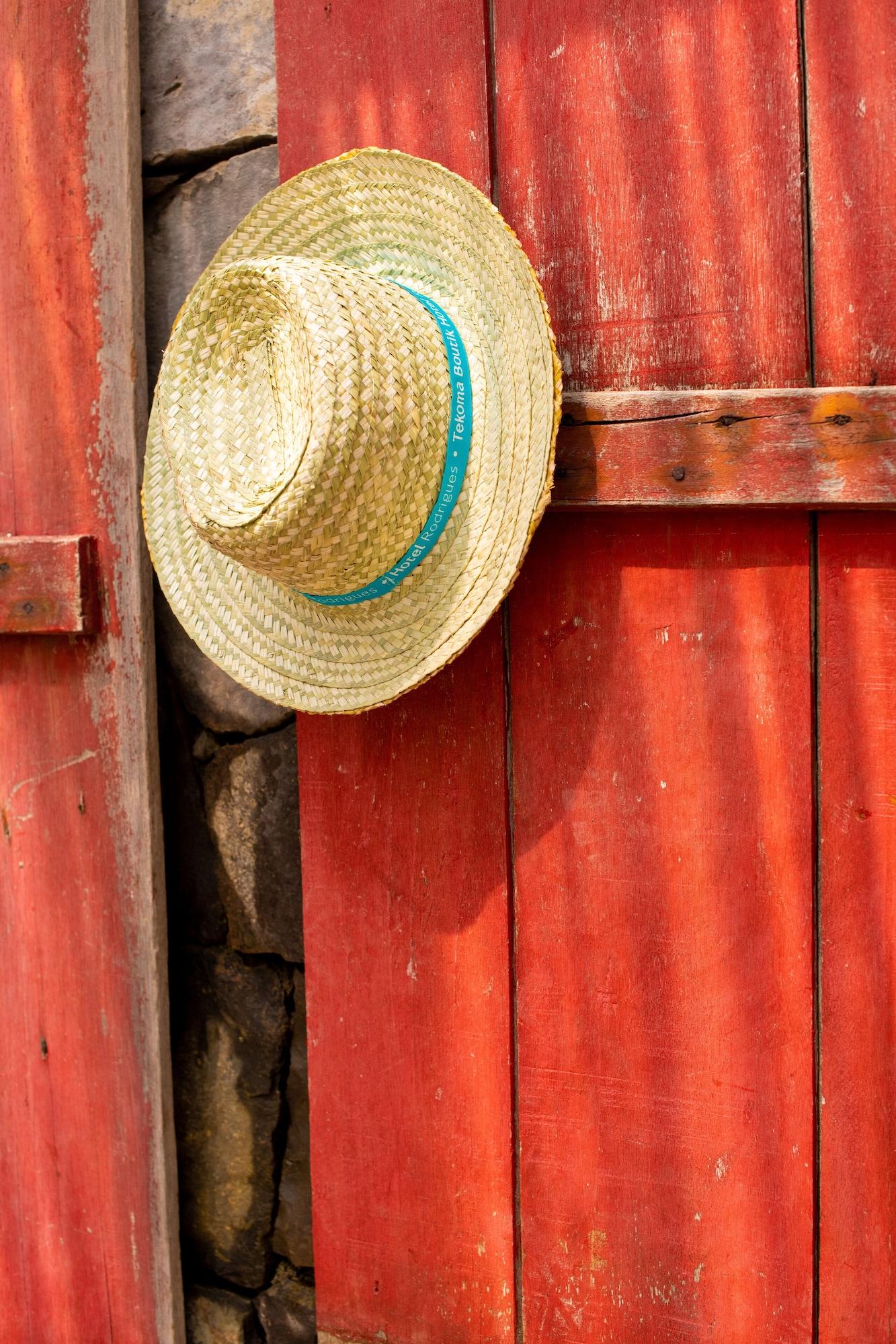Constance Tekoma Nouvelle Découverte Exteriér fotografie